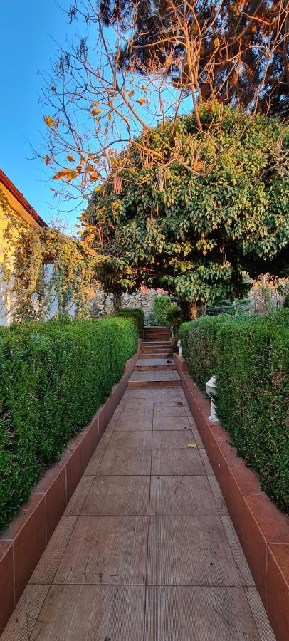 Vila Cu Ciubar & Jacuzzi - Sunset Hill House Cuvin Exterior photo